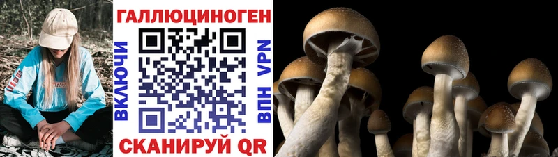 даркнет сайт  Малоярославец  Псилоцибиновые грибы прущие грибы 